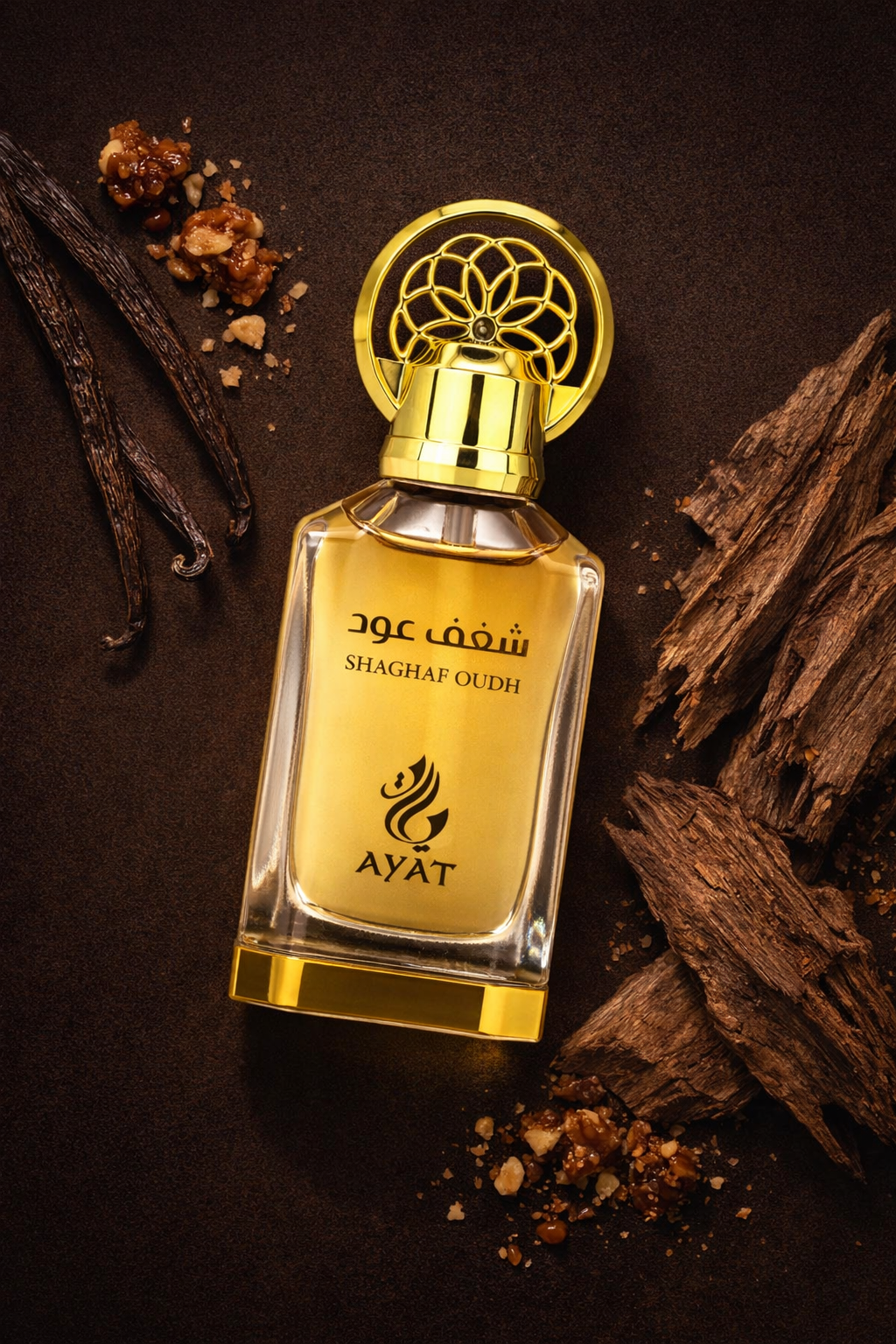 Shaghaf Oud – Ayat